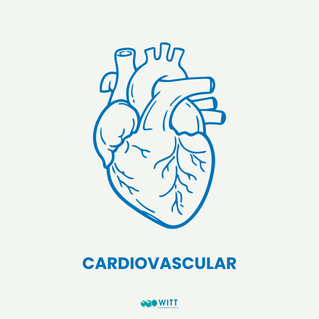 Cardiovascular