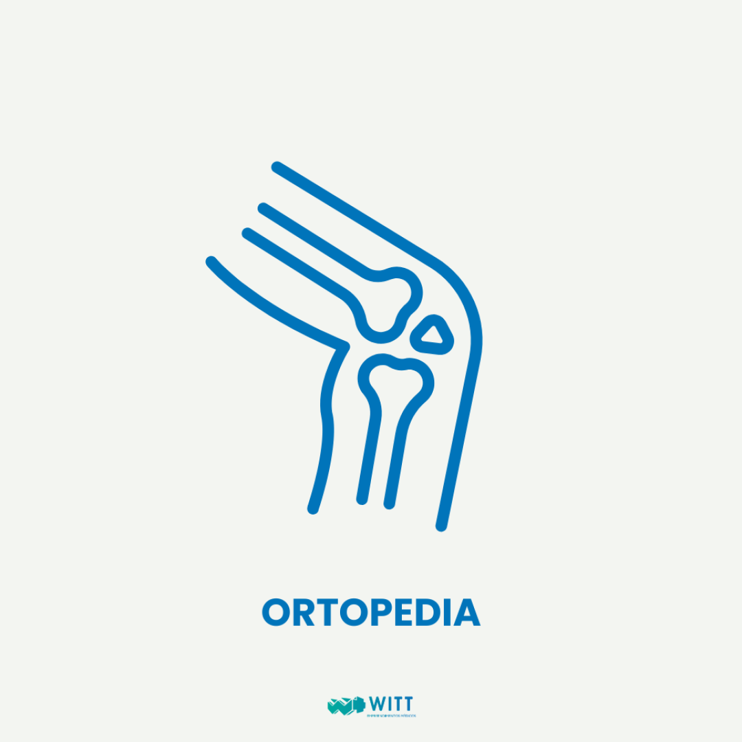 Orto